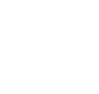 Phoenix Global Solutions